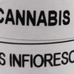 Inizio commercializzazione cannabis FM-1