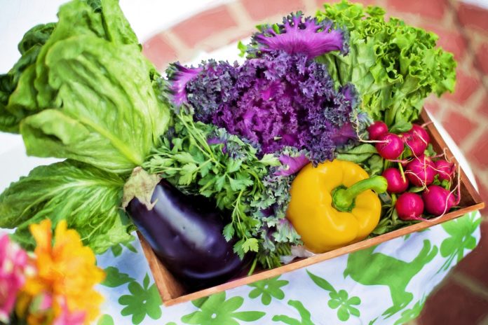 Alimentazione