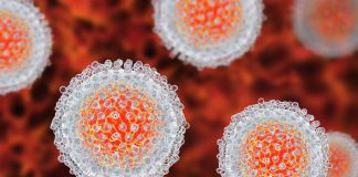 Epatite in Italia record di decessi