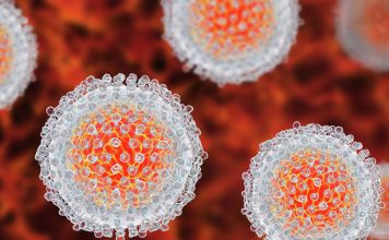 Epatite in Italia record di decessi