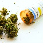 Cannabis terapeutica Segnalate 20 reazioni avverse nei primi 6 mesi del 2019