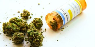 Cannabis terapeutica Segnalate 20 reazioni avverse nei primi 6 mesi del 2019