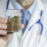 Estratti di cannabis a base di Cbd, Indena autorizzata alla produzione