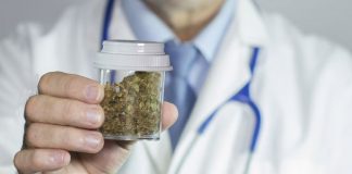 Estratti di cannabis a base di Cbd, Indena autorizzata alla produzione