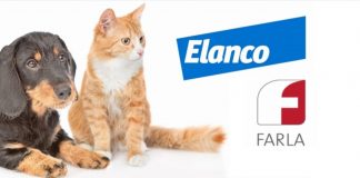 Parassiti esterni degli animali domestici: problemi e soluzioni