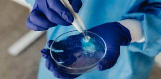 Galenica: in vigore nuovi divieti