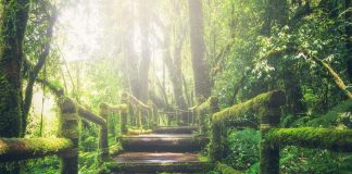 Covid 19 – Green pass e vaccino ad over 60 nel mirino del governo